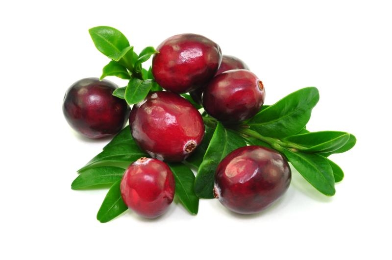 Cranberry