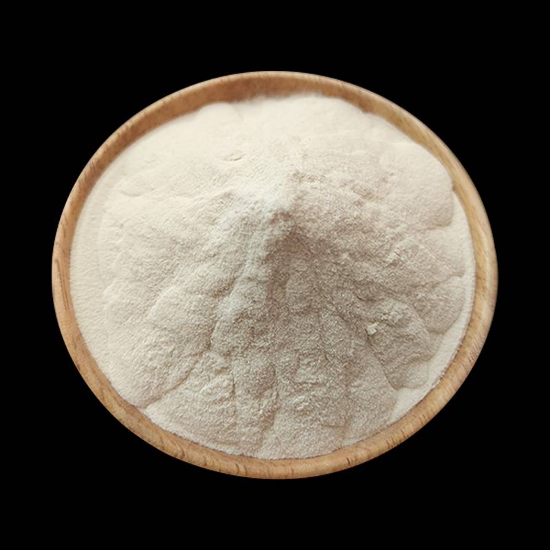 Micro-Encapsulated Conjugated Linoleic Acid Powder