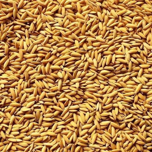 Rice Bran 