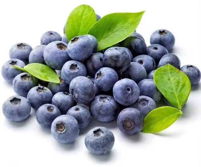 Bilberry Fruit