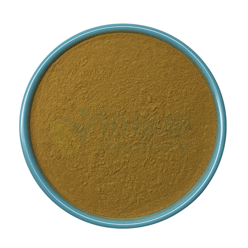  Ginkgo Biloba Extract Powder