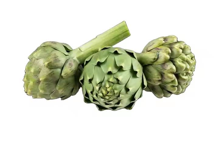 Artichoke 