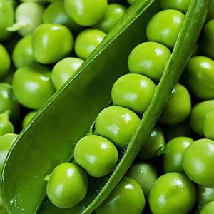 Pea