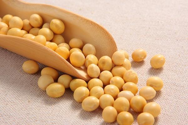 Soybean