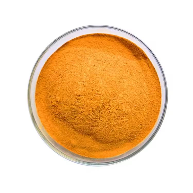 Turmeric Extract 95% Curcumin