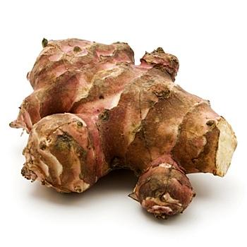  Jerusalem Artichoke