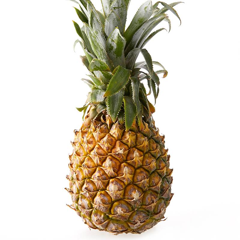 Pineapple Stem