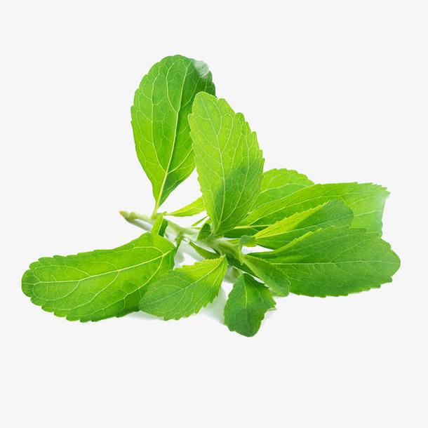 Stevia Leaf