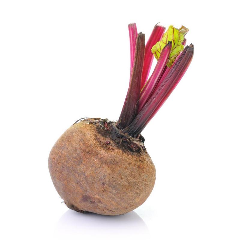 Beetroot