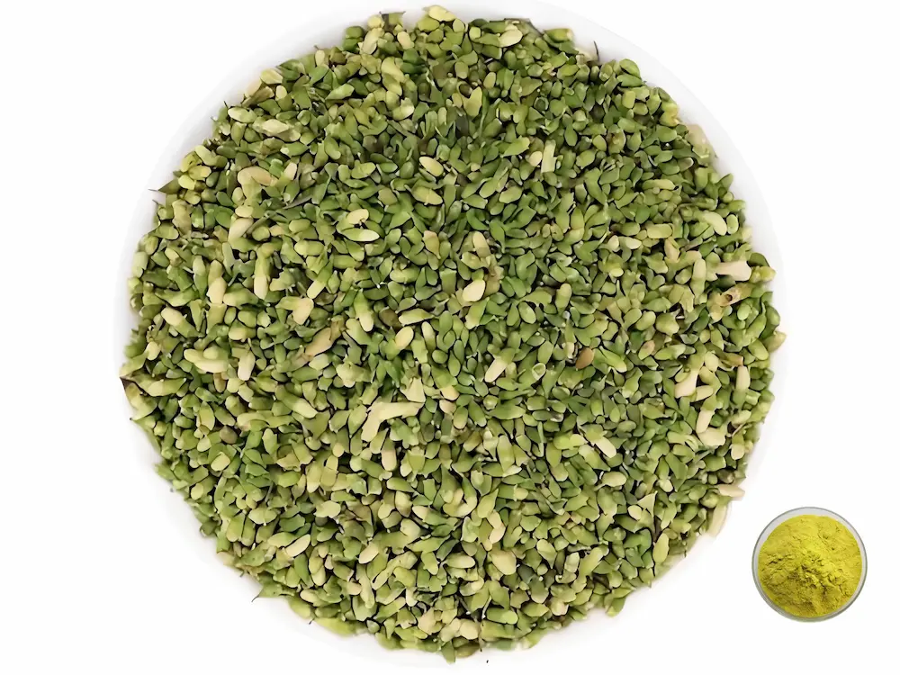 Highly Dispersible Water-Soluble Quercetin Powder (Food Grade)
